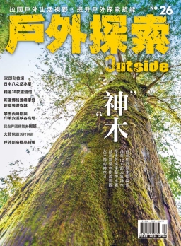 神木